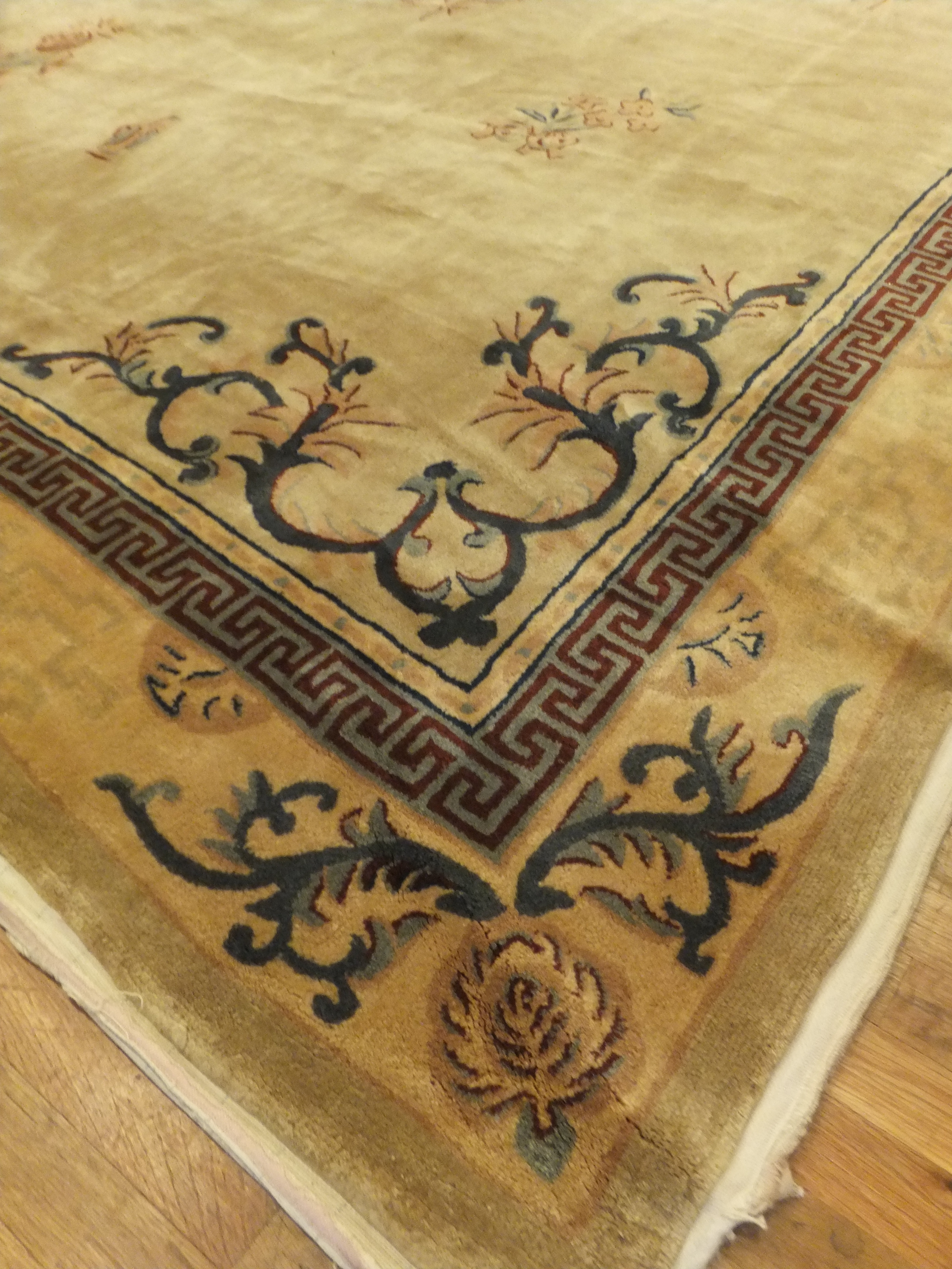 Rug image